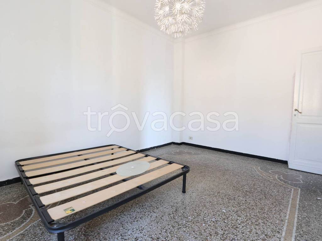 Foto7