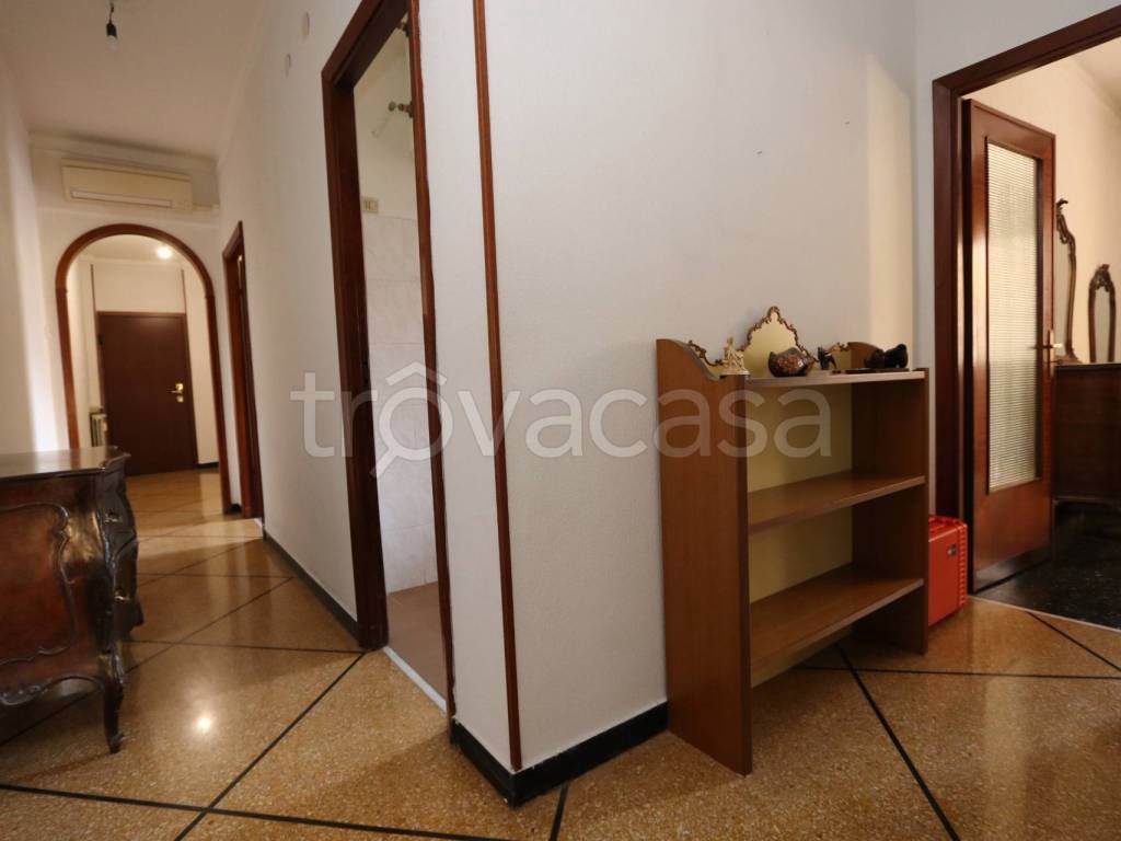 Foto16