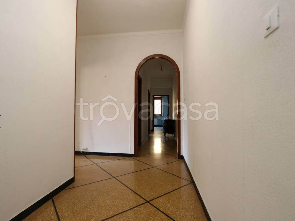 Foto17