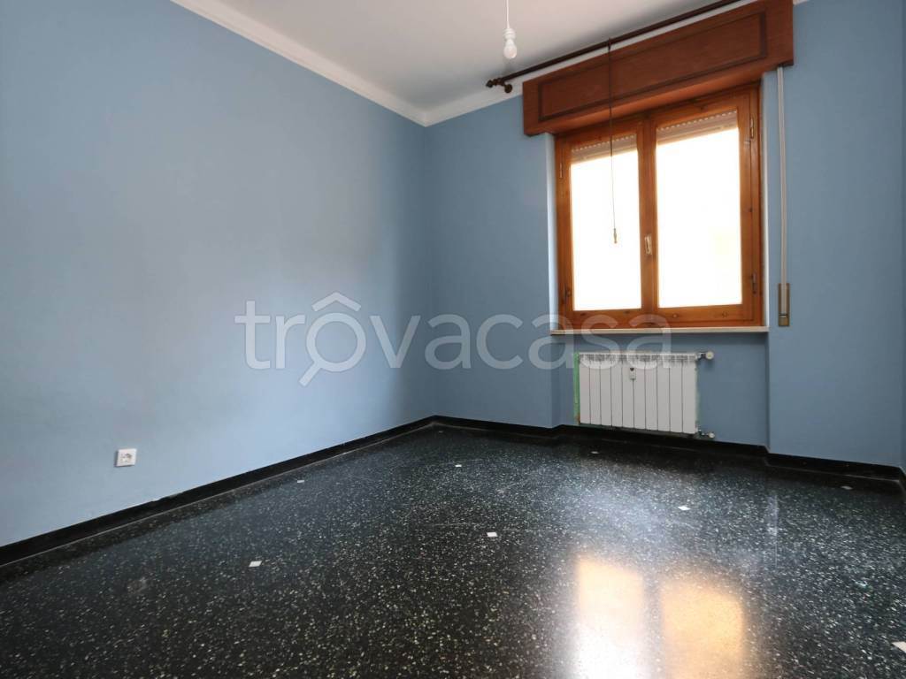 Foto4
