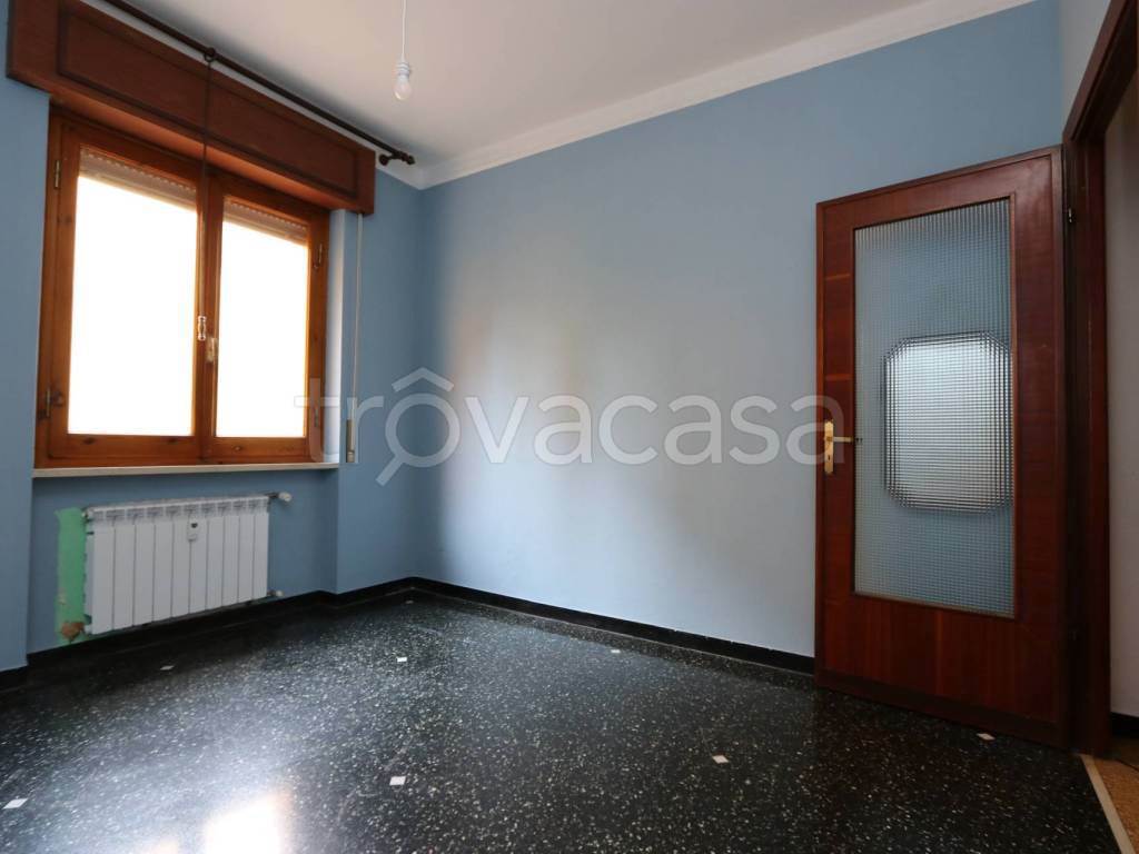 Foto5