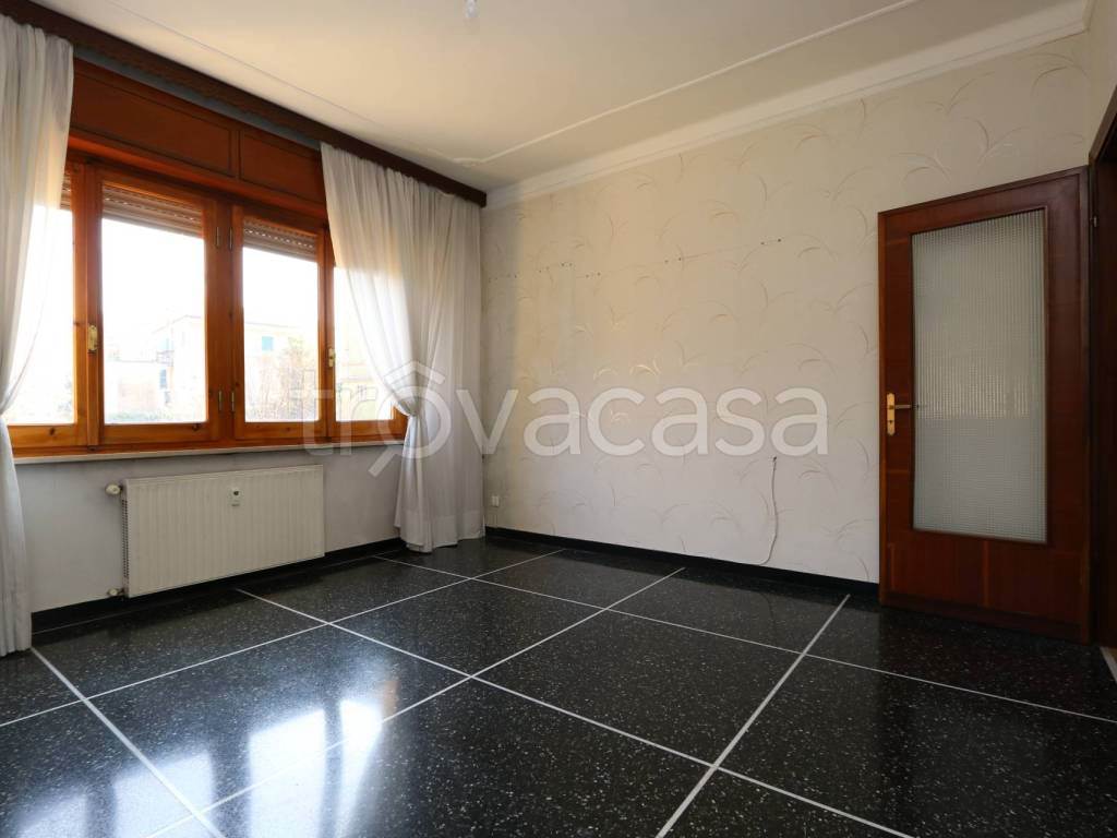 Foto6