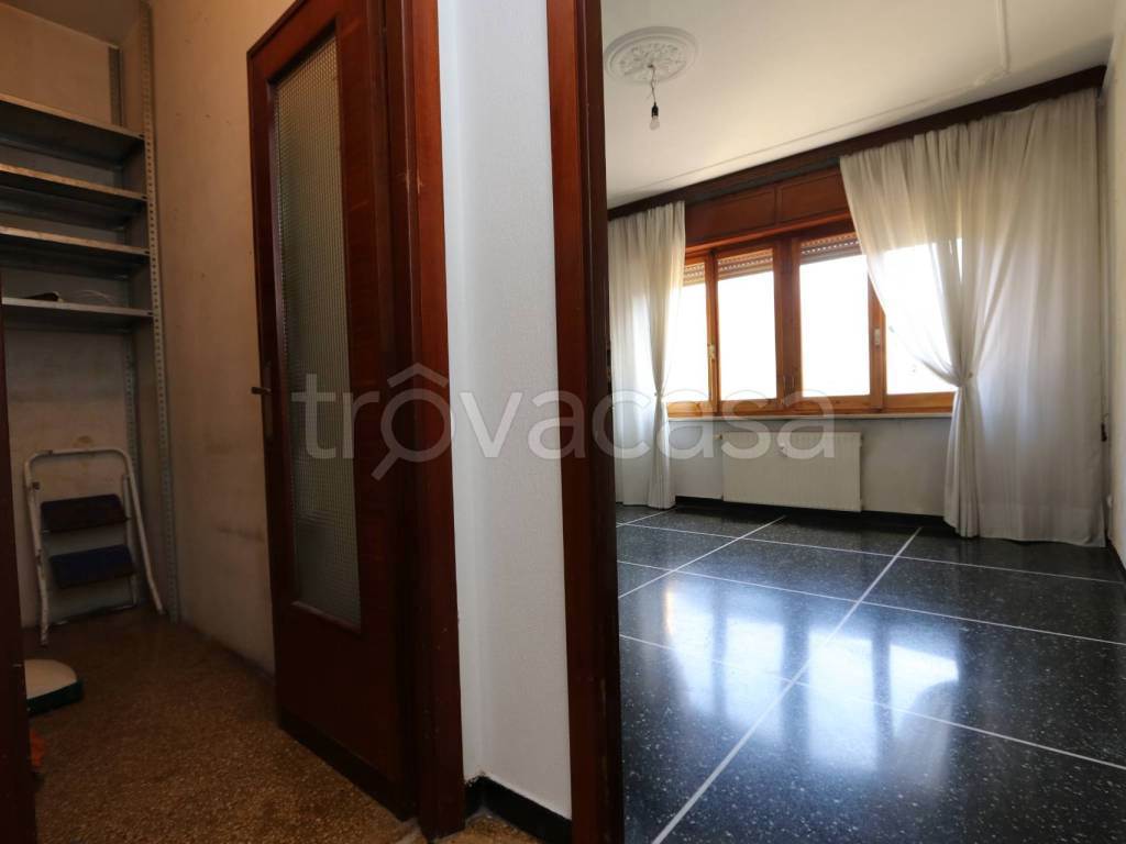 Foto8