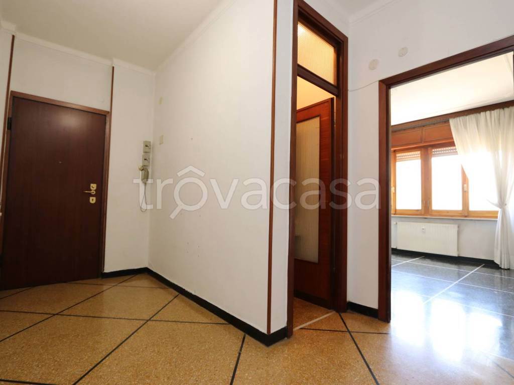 Foto9